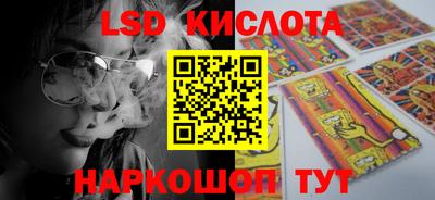 стаф Будённовск