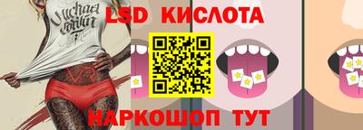 стаф Будённовск