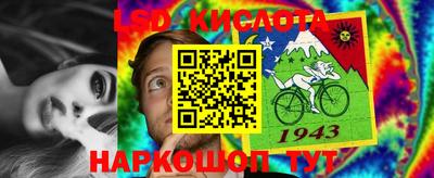 стаф Будённовск